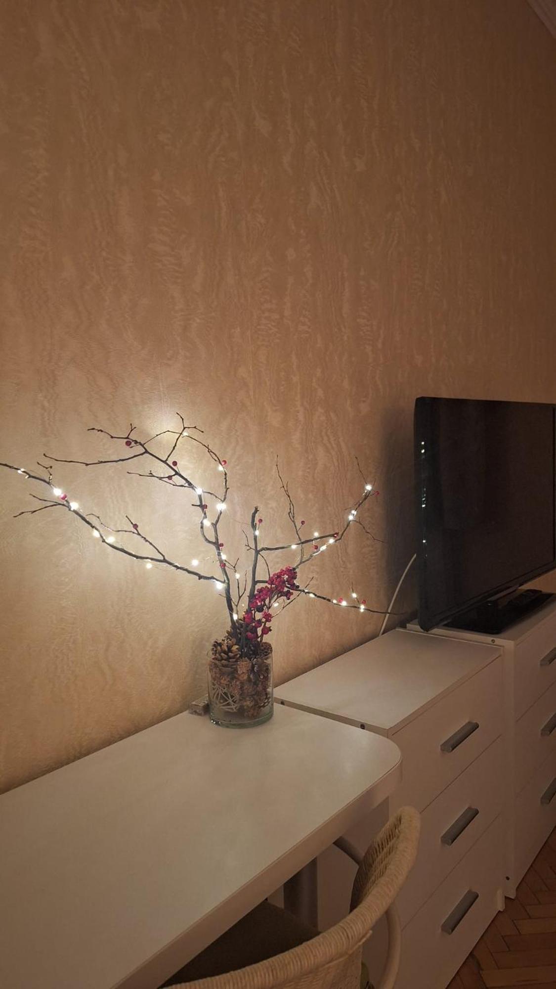 Apartment Willowhome - *